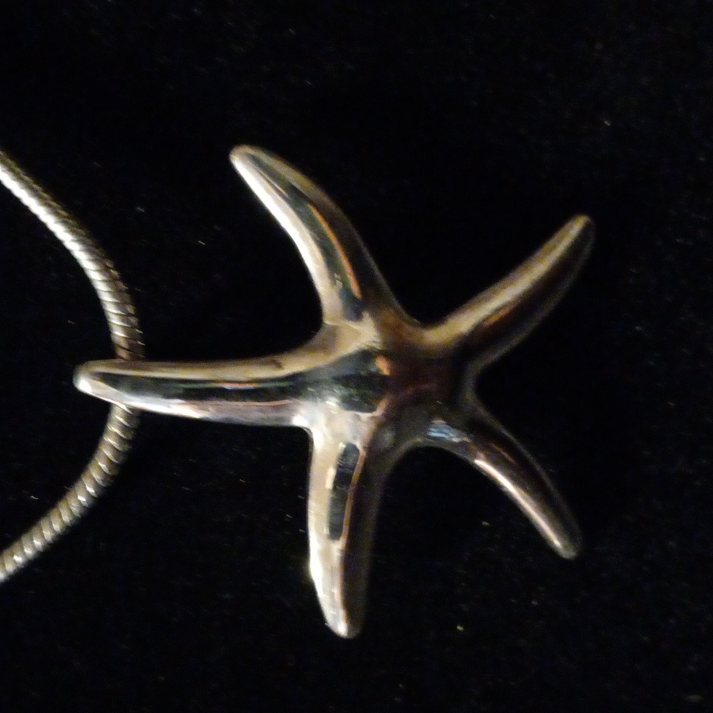 Large starfish pendant on a 15+2" snake chain.